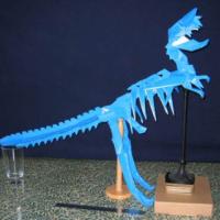 
<span>Tyrannosaurus Skeleton</span>
