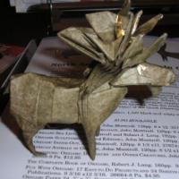 
<span>Moose</span>
