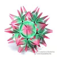 
<span>Cactus</span>
