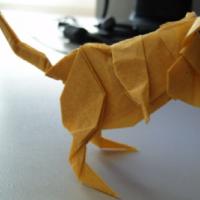 
<span>Gerbil</span>
