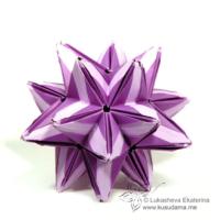 
<span>Illuminata</span>
