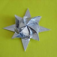 
<span>Estrella Marina</span>
