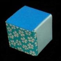 
<span>Plain Cube</span>
