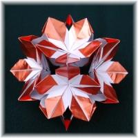 
<span>Daisy</span>
