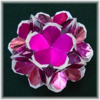 
<span>Dianthus</span>
