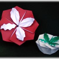 
<span>4-Leaves Tato-Box</span>
