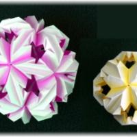 
<span>Chrysanthemum Ball</span>

