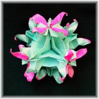 
<span>Spides Kusudama</span>
