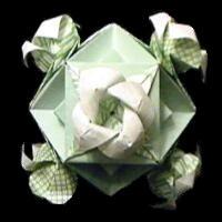 
<span>Rose faced Cubocta</span>
