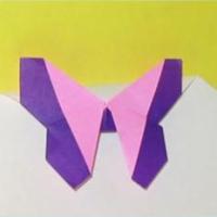 
<span>Butterfly Corner Clip</span>

