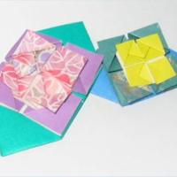 
<span>Button Flower</span>

