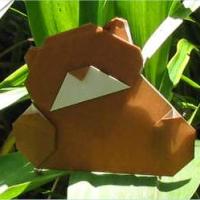 
<span>Bear Cub</span>
