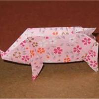 
<span>Pig</span>
