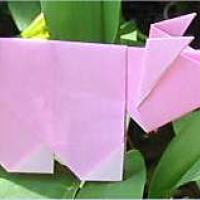 
<span>Pig</span>
