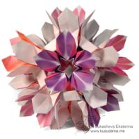 
<span>Plumeria</span>

