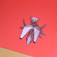 Avispa (Wasp)
