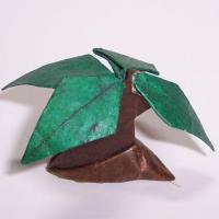 Jurassic plant