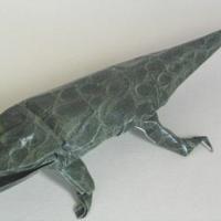 Crocodile