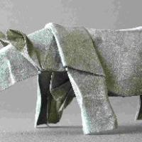 Rhinoceros