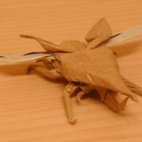 Flying Hercules Giant Beetle