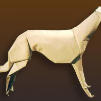 Greyhound