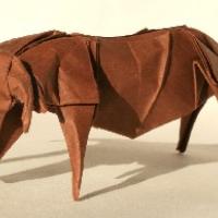 Buffalo
