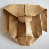 Wild mask