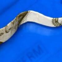 Sperm