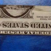 Penis