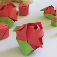 Magic Rose Cube