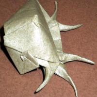 Spider Conch