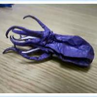 Octopus