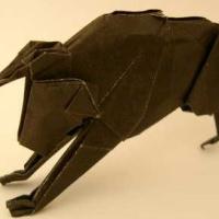 Bull