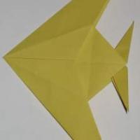 Angelfish