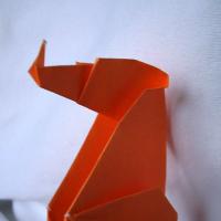Seahorse