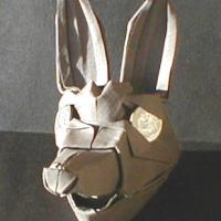 coyote head