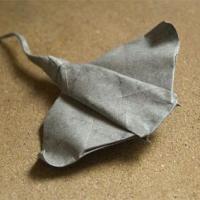 Manta-raya