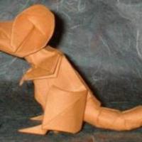 Rat