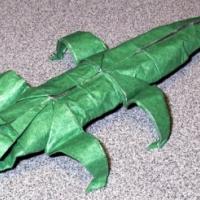 Alligator