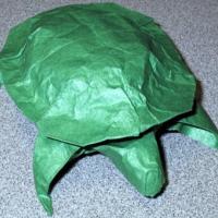 Desert Tortoise