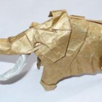 Mammuthus primigenius