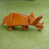 Triceratops