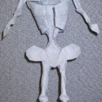 Skeleton