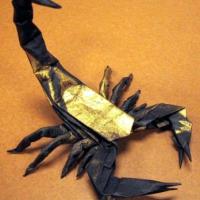 Scorpion