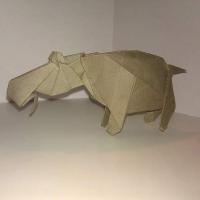 Hippopotamus