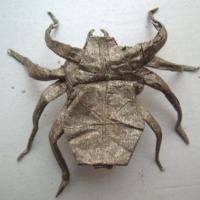 Arana tejedora