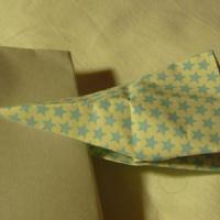 Pinza