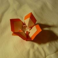 Flor 2