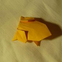 Sapo