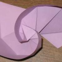 Spiral Shape
